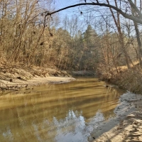 176 Acres Hunting Timberland for Sale with CRP Charleston MS images 4