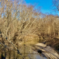 176 Acres Hunting Timberland for Sale with CRP Charleston MS images 5