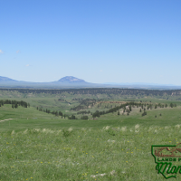 Lush Montana Land Near the Missouri River Breaks - Beaver Ridge  20.1 acres for  59 500 images 5