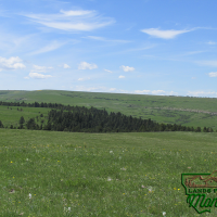 Lush Montana Land Near the Missouri River Breaks - Beaver Ridge  20.1 acres for  59 500 images 6