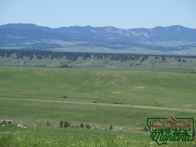 Lush Montana Land Near the Missouri River Breaks - Beaver Ridge  20.1 acres for  59 500 featured image