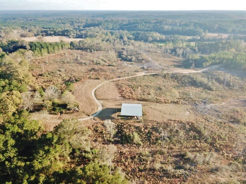 Hunting Land for Sale Sandy Hook  Marion Co  Southwest MS featured image