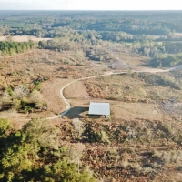 Hunting Land for Sale Sandy Hook  Marion Co  Southwest MS