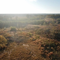 Hunting Land for Sale Sandy Hook  Marion Co  Southwest MS images 5