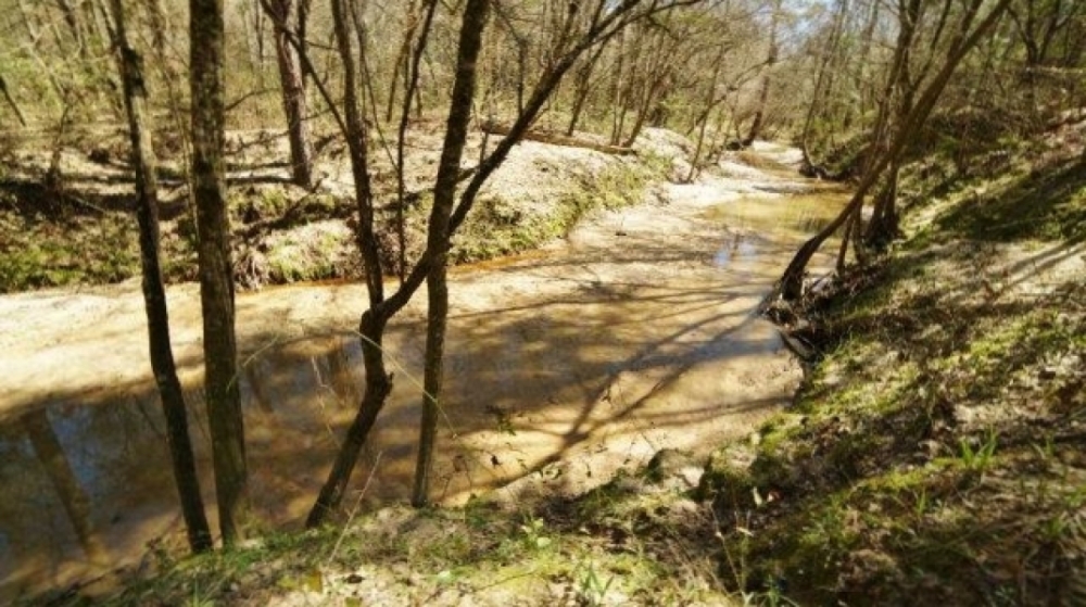 854 Acres Turnkey Hunting Land &nbsp; Camp for Sale Adams Co  MS featured image