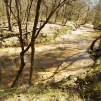 854 Acres Turnkey Hunting Land &nbsp; Camp for Sale Adams Co  MS