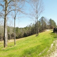 854 Acres Turnkey Hunting Land &nbsp; Camp for Sale Adams Co  MS images 5
