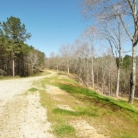 854 Acres Turnkey Hunting Land &nbsp; Camp for Sale Adams Co  MS images 6