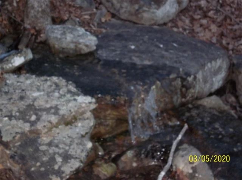 East Tennessee Hunting Land for Sale Rogersville Hawkins County TN