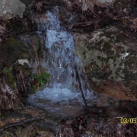East Tennessee Hunting Land for Sale Rogersville- Hawkins County TN images 6