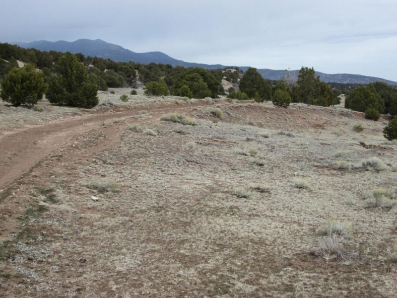 55 Unit BB CL G  Walsenburg featured image