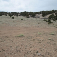 55 Unit BB CL G  Walsenburg images 2