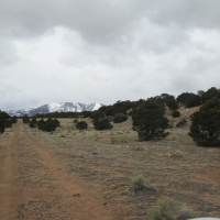 55 Unit BB CL G  Walsenburg images 3