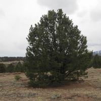 55 Unit BB CL G  Walsenburg images 4
