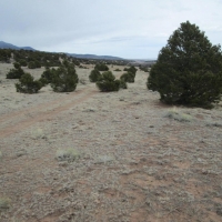 55 Unit BB CL G  Walsenburg images 5
