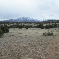 55 Unit BB CL G  Walsenburg images 6