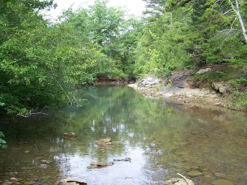 425-Acres of Recreational &nbsp; Hunting Land For Sale in Dennard  AR featured image