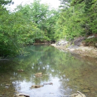 425-Acres of Recreational &nbsp; Hunting Land For Sale in Dennard  AR