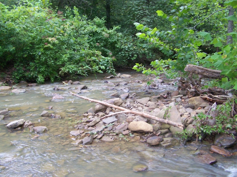 425Acres of Recreational Hunting Land For Sale in Dennard AR Hunting