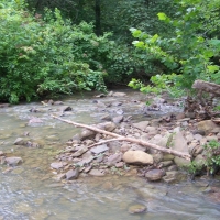 425-Acres of Recreational &nbsp; Hunting Land For Sale in Dennard  AR images 2