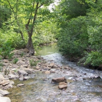 425-Acres of Recreational &nbsp; Hunting Land For Sale in Dennard  AR images 3