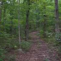 425-Acres of Recreational &nbsp; Hunting Land For Sale in Dennard  AR images 4
