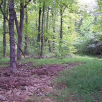 425-Acres of Recreational &nbsp; Hunting Land For Sale in Dennard  AR images 5