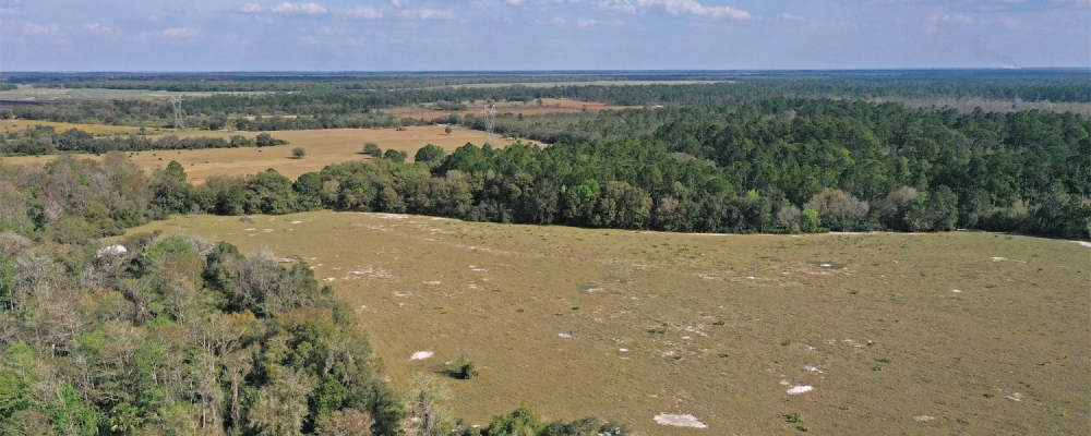 Catfish Creek Recreational Tract featured image