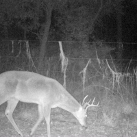 Catfish Creek Recreational Tract images 4