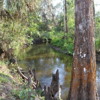 Catfish Creek Recreational Tract images 5