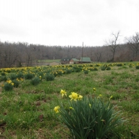 Exceptional Country Estate with Recreational Land For Sale in Salem  AR images 2
