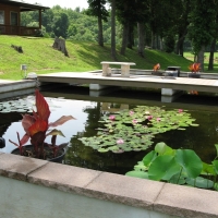 Exceptional Country Estate with Recreational Land For Sale in Salem  AR images 6