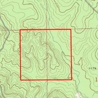 Fire Tower Road Timber Tract images 5