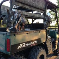 Picture Perfect Dove Hunting