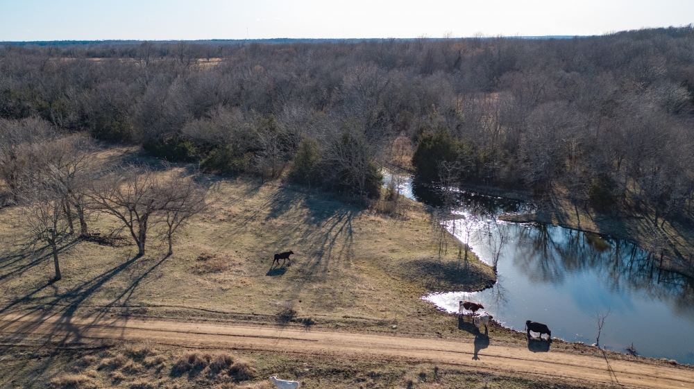 99.91 acres of Recreational Land in Nowata  OK featured image