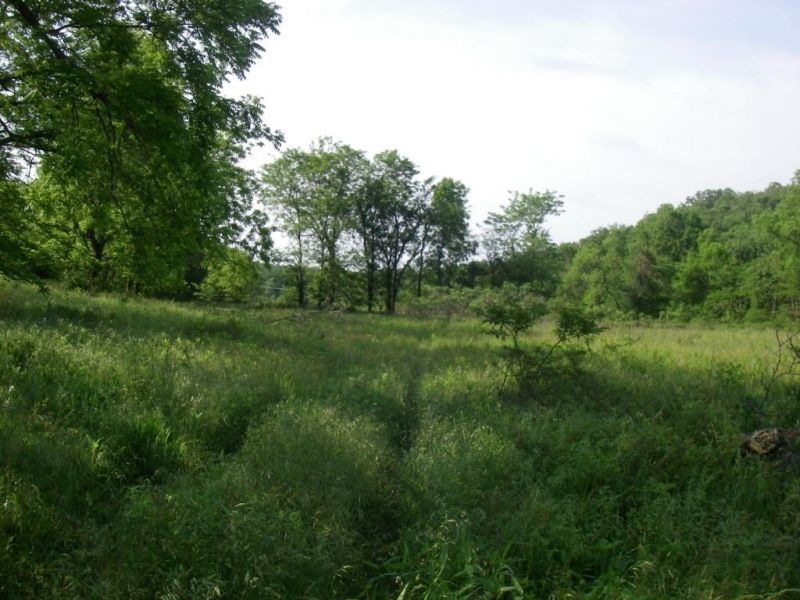 Hunting &nbsp; Recreational Land For Sale in West MO featured image