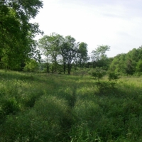 Hunting &nbsp; Recreational Land For Sale in West MO