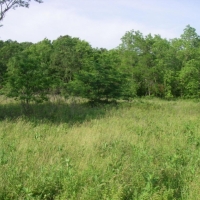 Hunting &nbsp; Recreational Land For Sale in West MO images 2