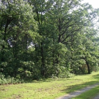 Hunting &nbsp; Recreational Land For Sale in West MO images 3