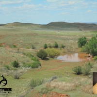 Exceptional Hunting &nbsp; Recreational Land For Sale in Harper County  OK