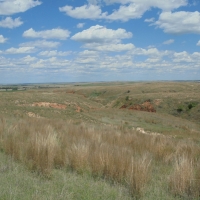 Exceptional Hunting &nbsp; Recreational Land For Sale in Harper County  OK images 2