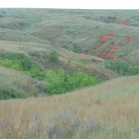 Exceptional Hunting &nbsp; Recreational Land For Sale in Harper County  OK images 3