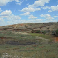 Exceptional Hunting &nbsp; Recreational Land For Sale in Harper County  OK images 4
