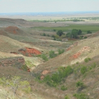 Exceptional Hunting &nbsp; Recreational Land For Sale in Harper County  OK images 5