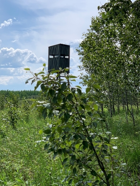 Big Game Hunting &nbsp; Recreational Land For Sale in North MN featured image