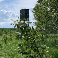 Big Game Hunting &nbsp; Recreational Land For Sale in North MN