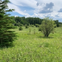 Big Game Hunting &nbsp; Recreational Land For Sale in North MN images 3