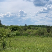 Big Game Hunting &nbsp; Recreational Land For Sale in North MN images 4