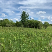 Big Game Hunting &nbsp; Recreational Land For Sale in North MN images 5