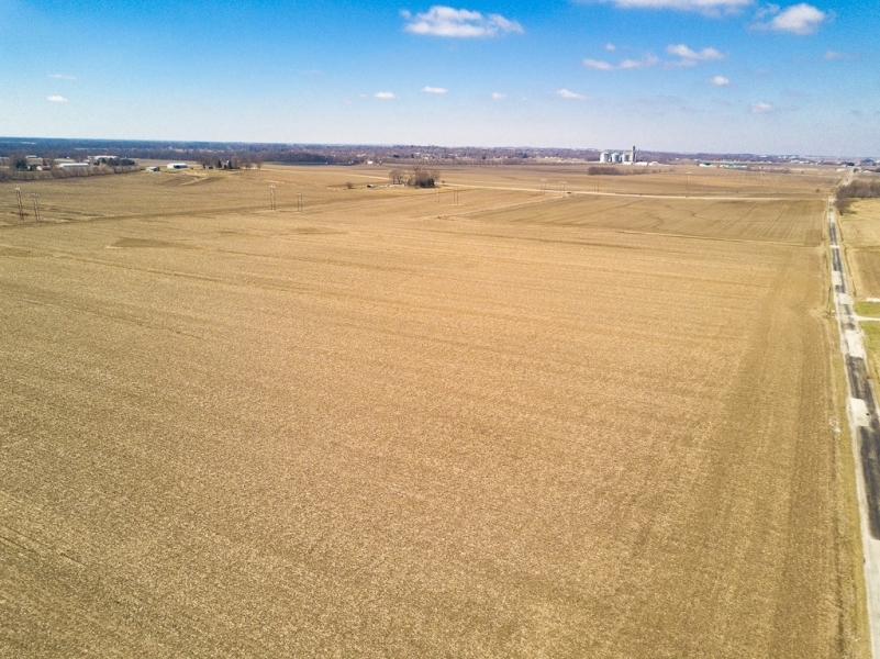 Productive Farmland For Sale in Central IL featured image